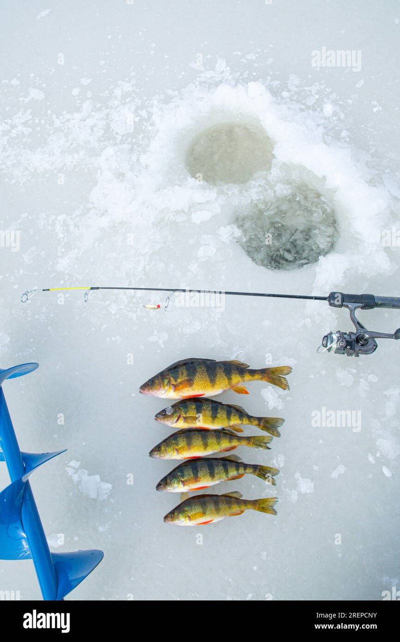 Ice fishing game online - Experience the Thrill of Ice Fishing Live Casino Games in the UK