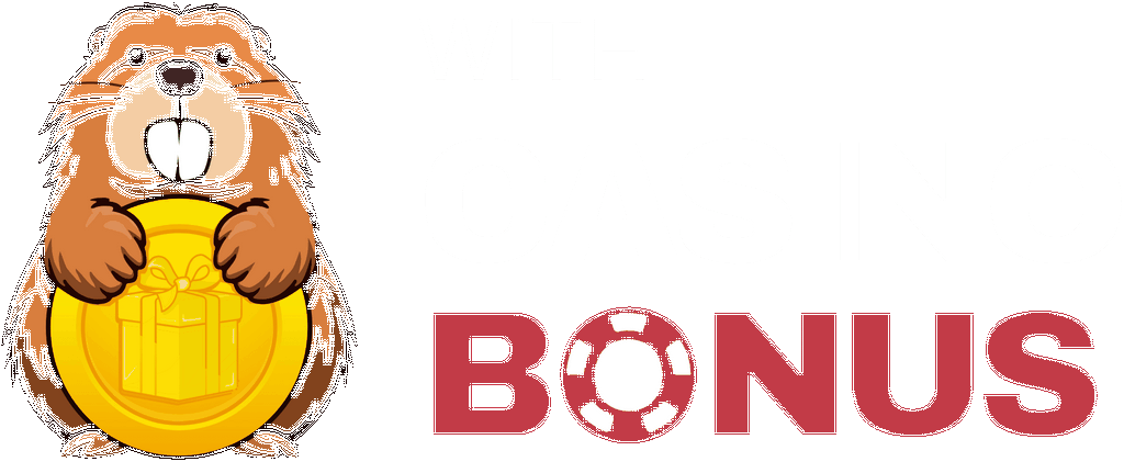 Best No KYC Casinos - No Confirmation in February 2026